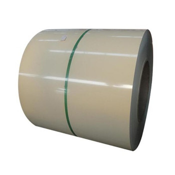 China Prime Hot Rolled Steel Sheet in Coil/Plate Coil 