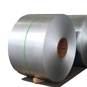 High Quality Stainless Steel Coil 304, 304L, 316L, 321, 310S 