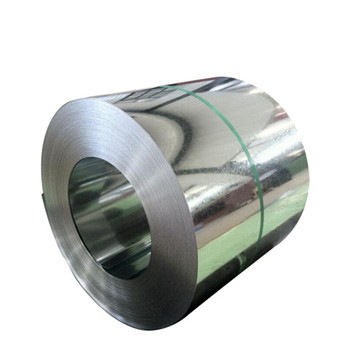 Hot Rolled Stainless Steel Strip of 301/304/304L/309/309S/310S/316L/317L/321 High Quality 