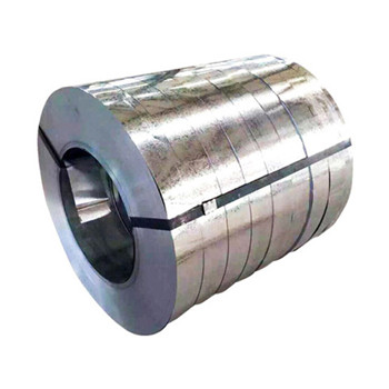 Cold Rolled Stainless Steel Strip of 301/304/304L/309/309S/310S/316L/317L/321 High Quality 
