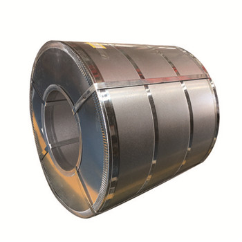Manufacturer Supply Hot Rolled/Cold Rolled Stainless Steel Coil of 304 