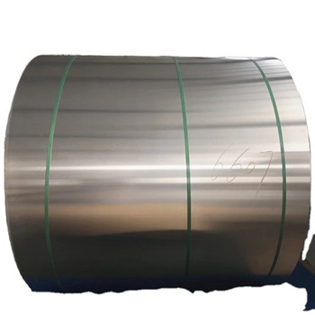 Hastelloy C276/N10276/2.4819 Nickel Alloy Coils with ASTM Standard 
