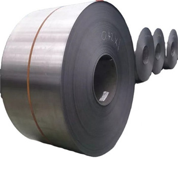 Hot Rolled Stainless Steel Coil of 201/202/304/304L/316L/904L High Quality 