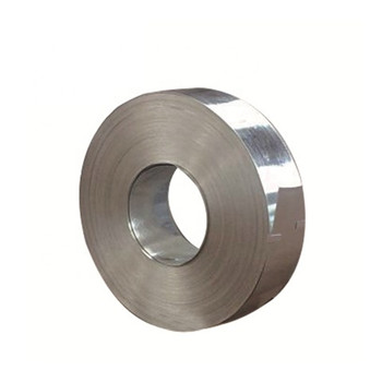 Building Materials 2101/321H/201/304/316L Hot/Cold Rolled Stainless Steel Coil Strip 