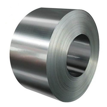 SUS 201/304L/316L/309S/310S/321/347H/410/420/430/904L Soft Annealed or Hardness Stainless Steel Wire Coil 