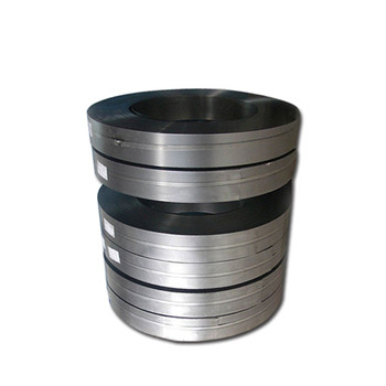 317L Stainless Steel Coil Strip 