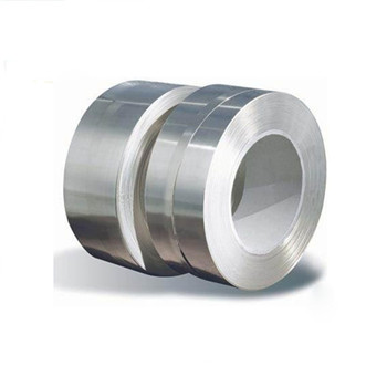 Excellent Quality Stainless Steel Coil (201 304 321 316 316L 310S 904L) with Stock 