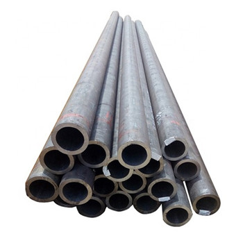 Stainless Steel Single Braid Flexible Metal Hose/Pipe with Fitting 