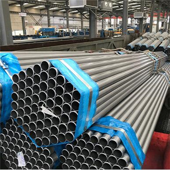 Stainless Steel Single Braid Flexible Metal Hose/Pipe with Fitting 