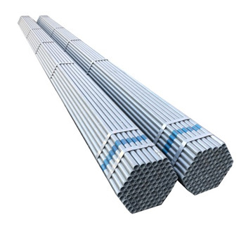 ASTM A312/A213 TP304/304L Tp316/316L Seamless Stainless Steel Tubing Metal Pipe Manufacturer/Supplier 